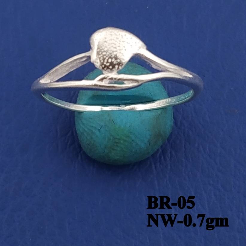 BR-05