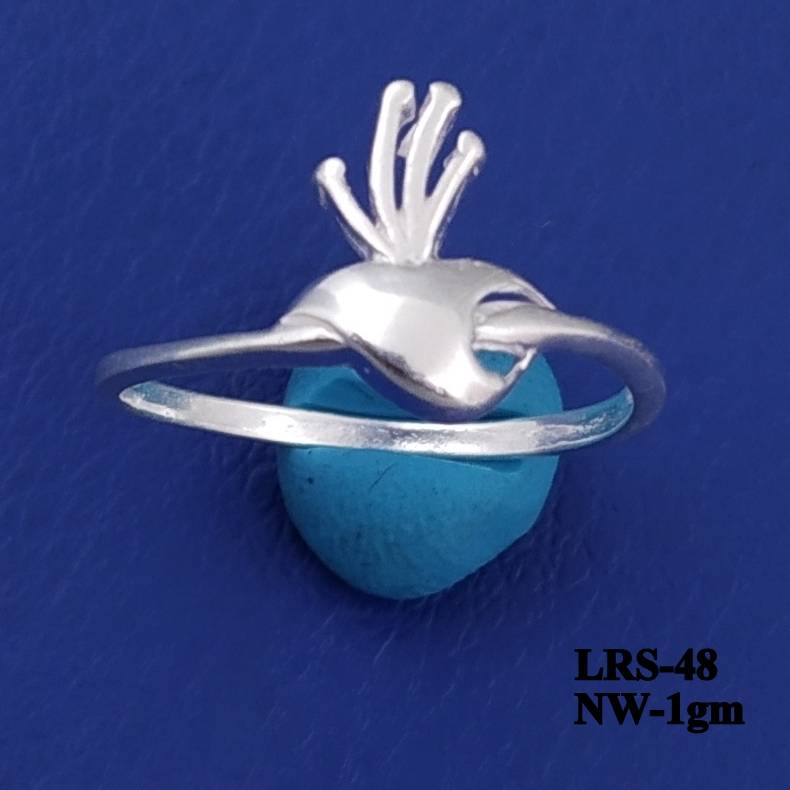 LRS-48