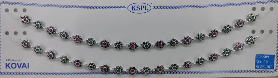 CP-509 (1)